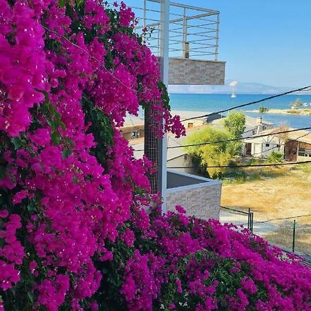 Begonvil Otel Çeşme 외부 사진