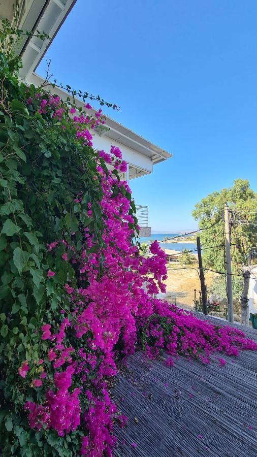 Begonvil Otel Çeşme 외부 사진